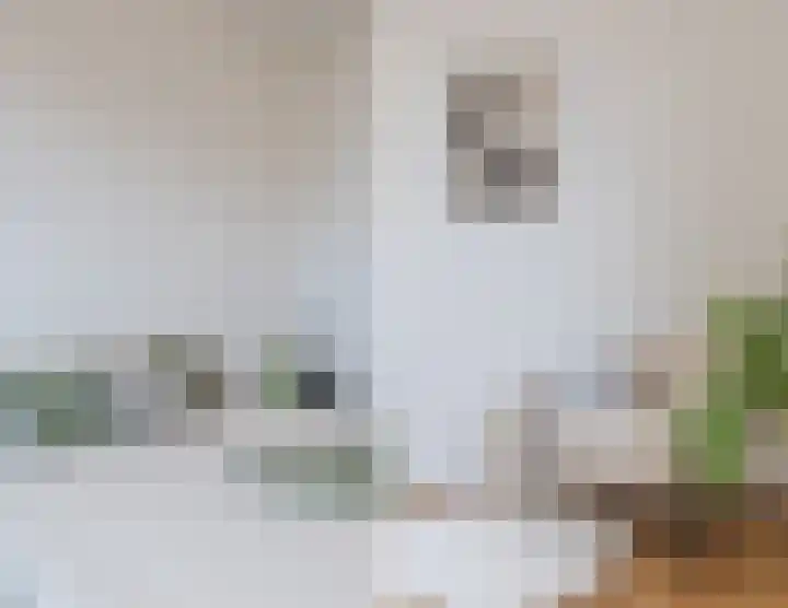 Erroll Garnerstraat 9 Utrecht thumbnail 53