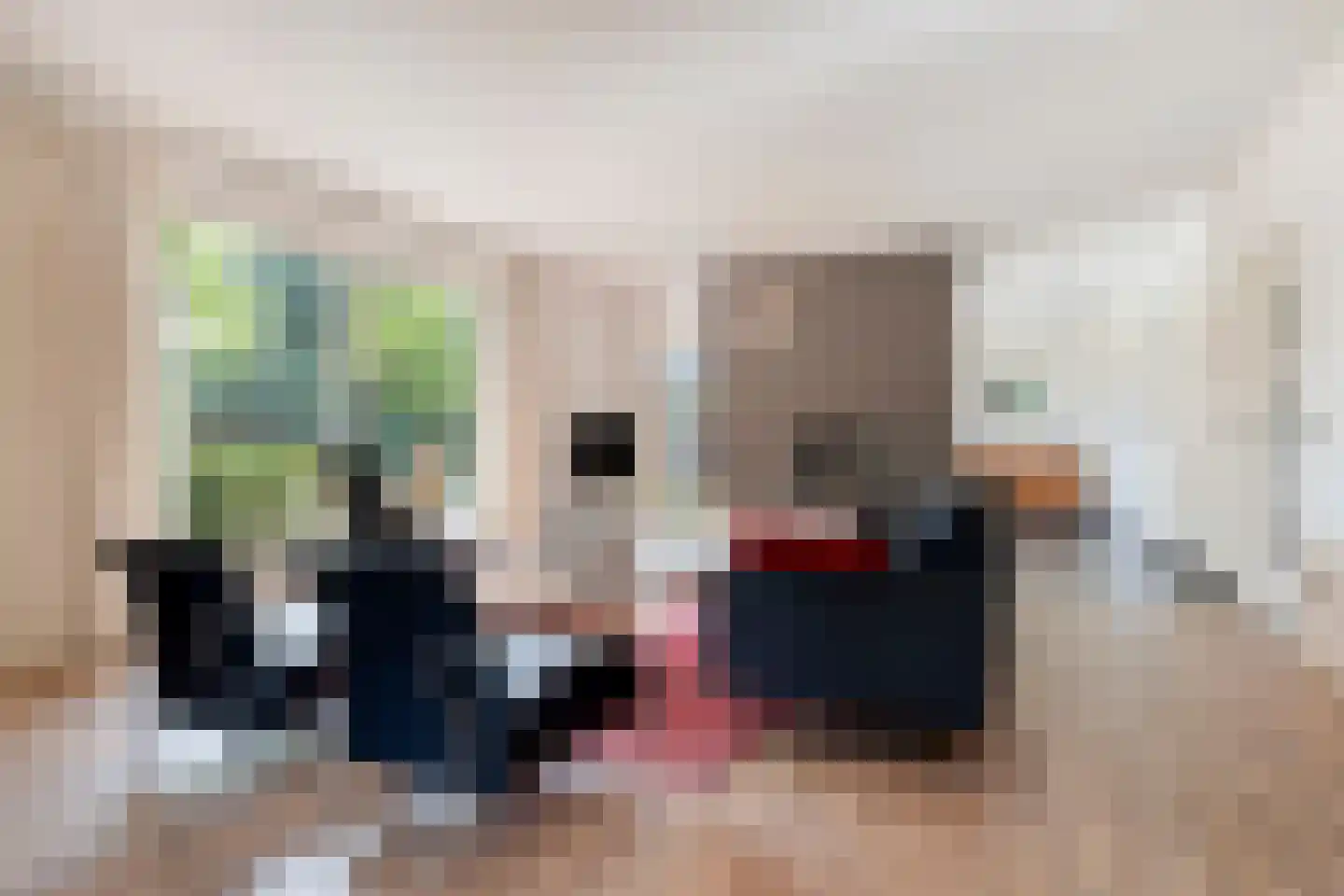 Ersweg 1 Sevenum thumbnail 11