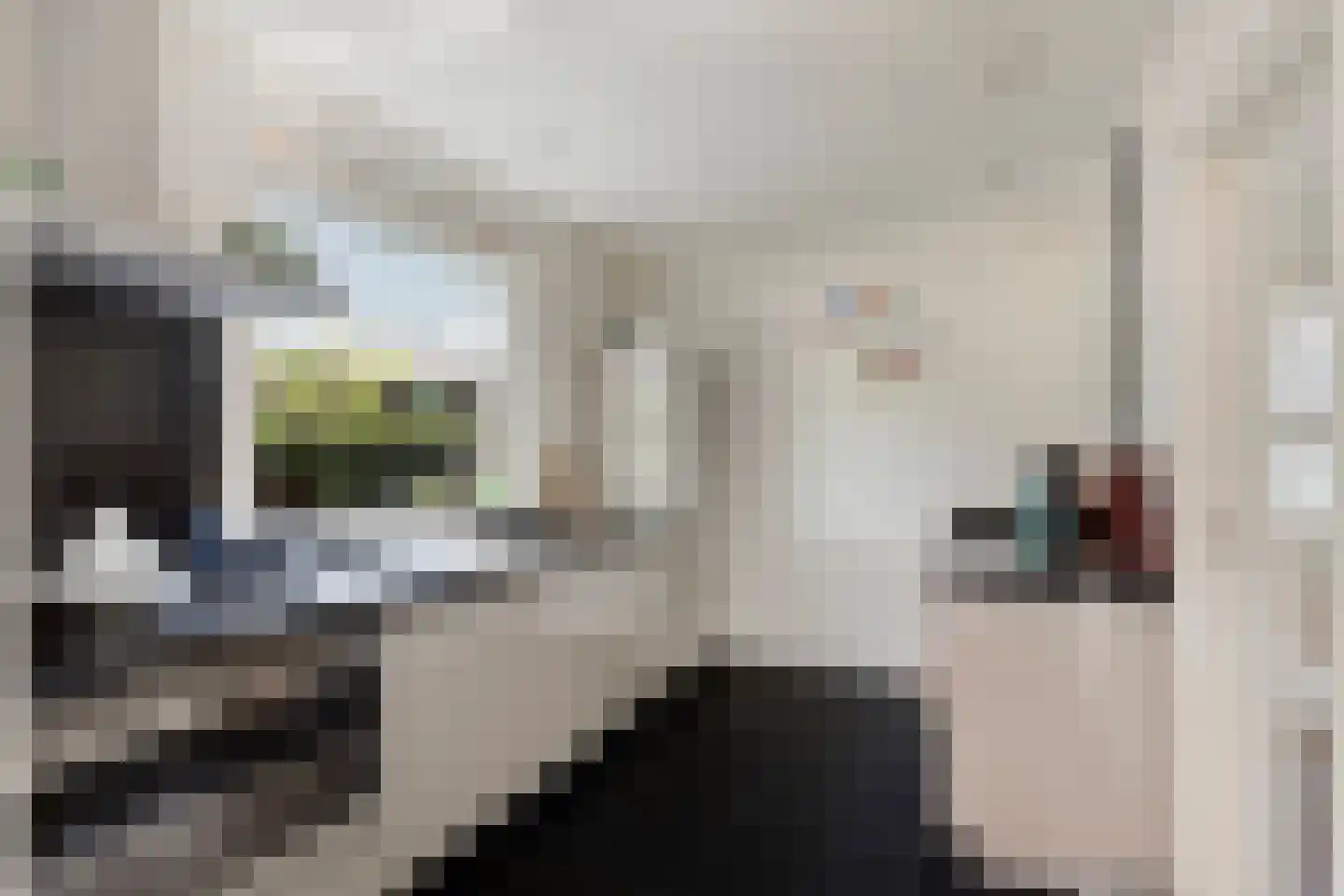 Ersweg 1 Sevenum thumbnail 23