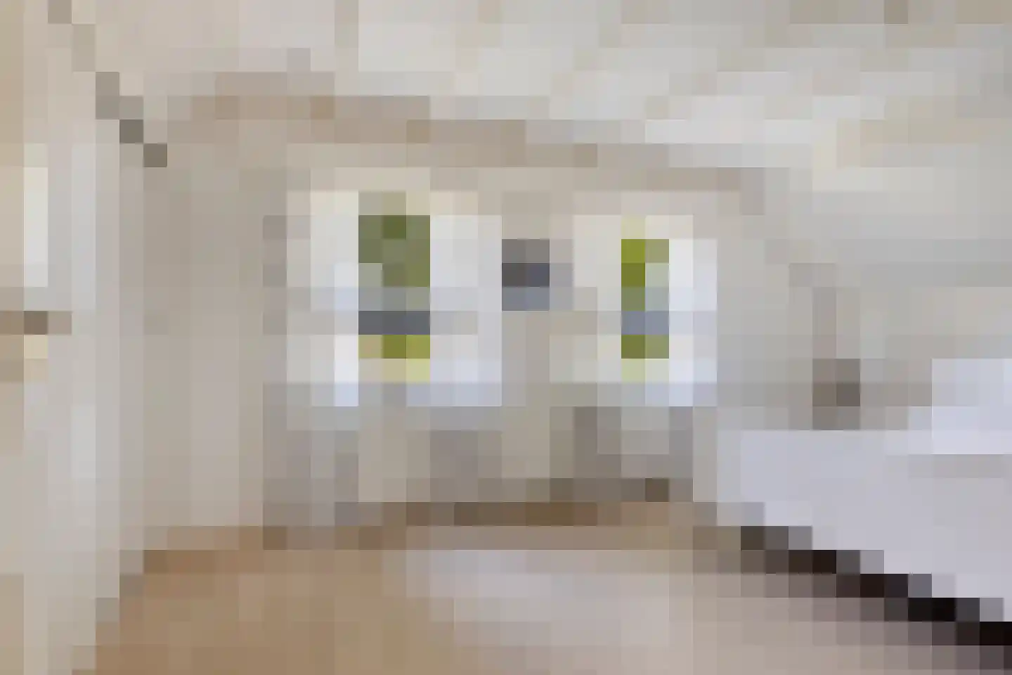 Ersweg 1 Sevenum thumbnail 34