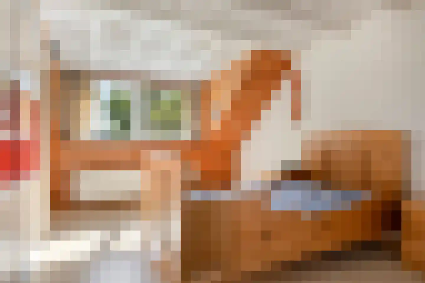 Ersweg 1 Sevenum thumbnail 38