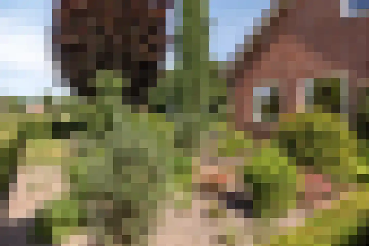 Ersweg 1 Sevenum thumbnail 44