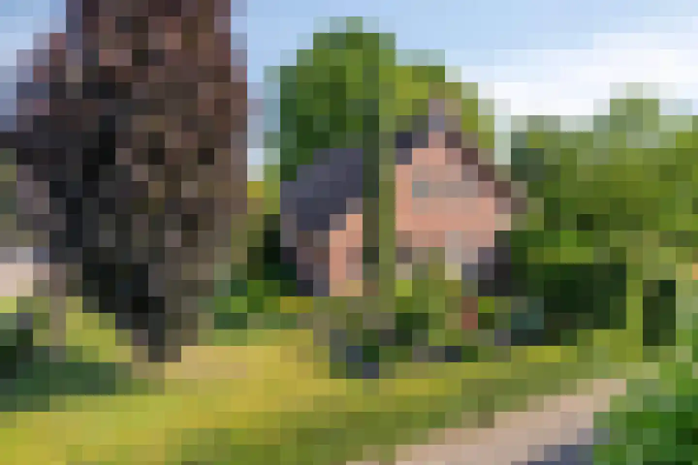 Ersweg 1 Sevenum thumbnail 46