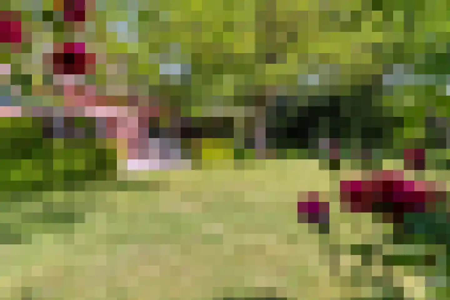 Ersweg 1 Sevenum thumbnail 50