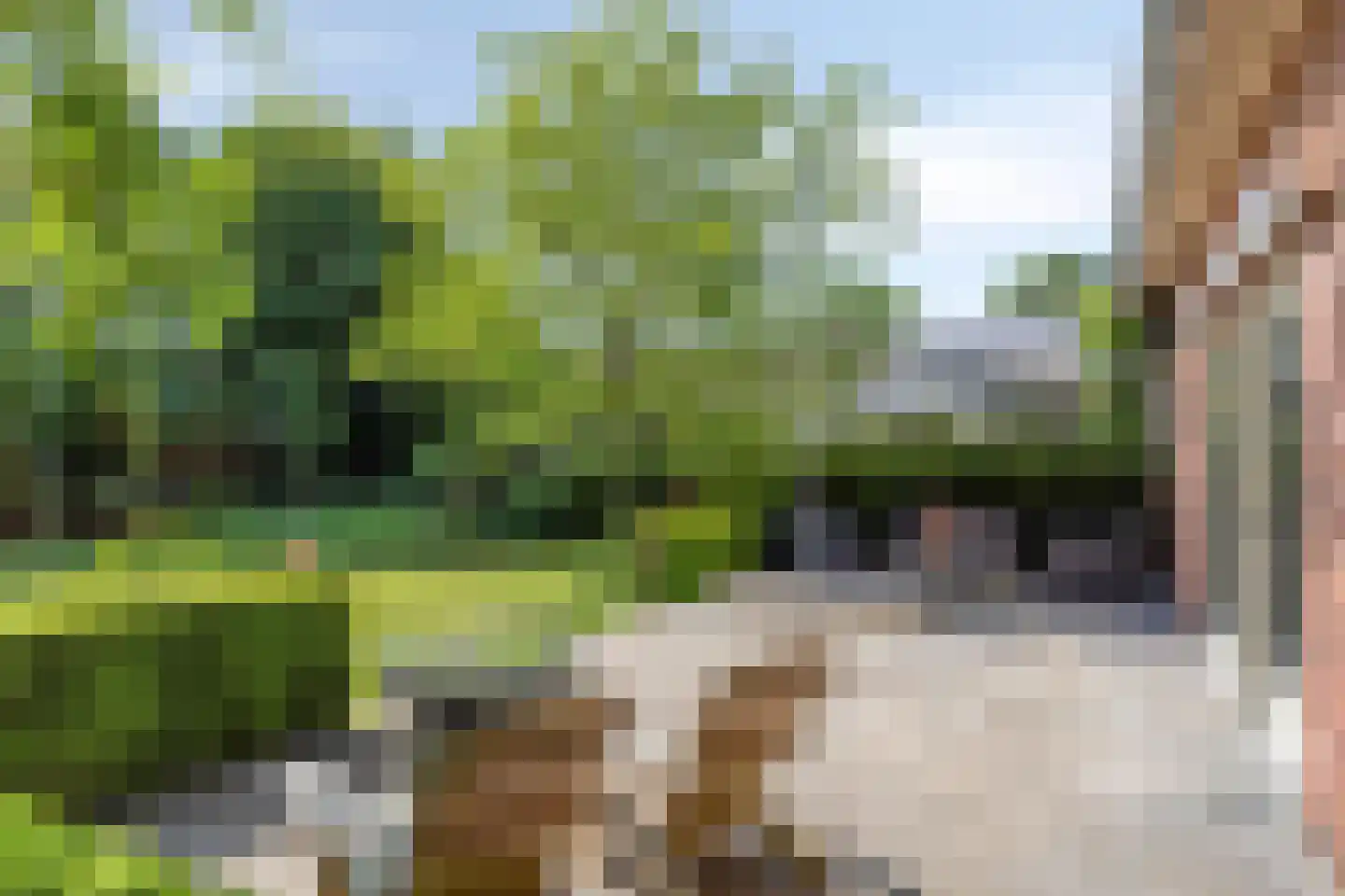 Ersweg 1 Sevenum thumbnail 55