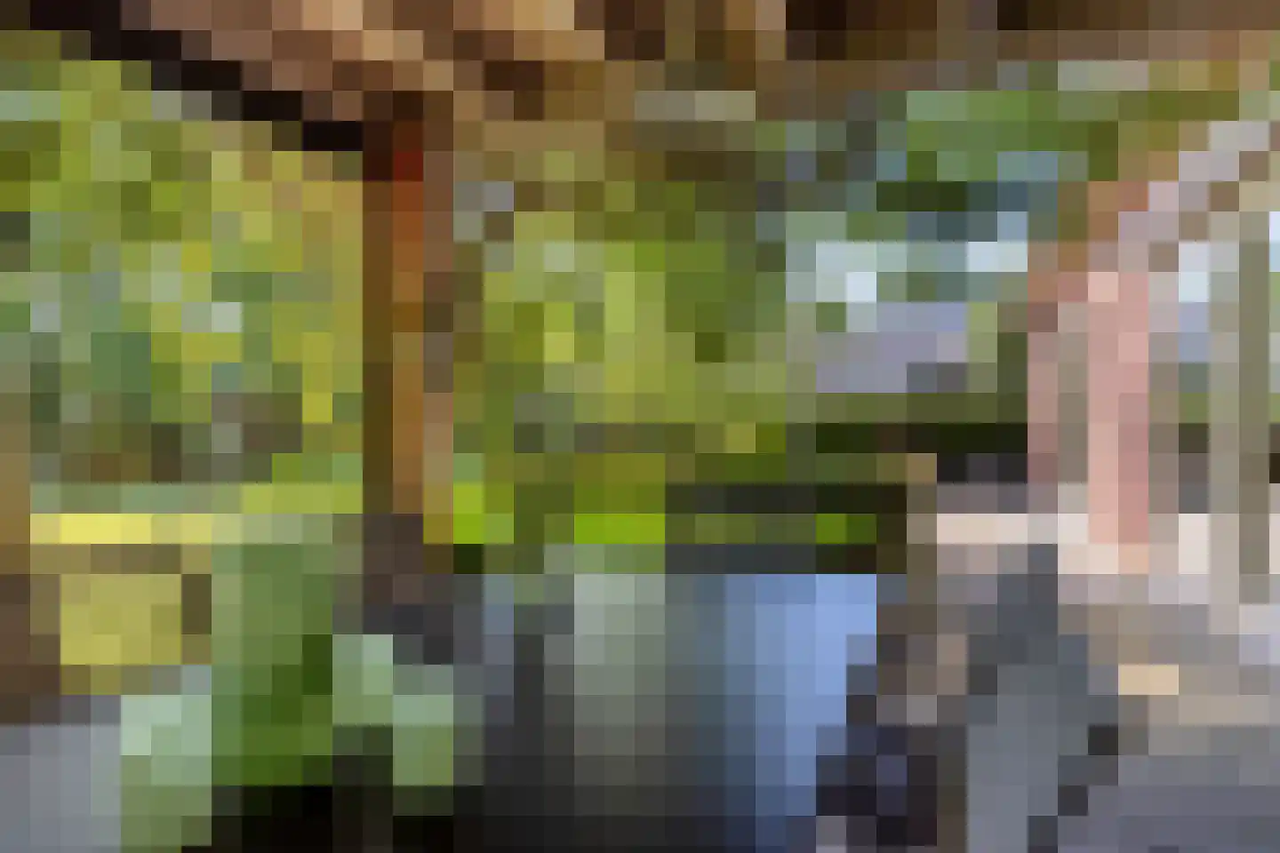 Ersweg 1 Sevenum thumbnail 59