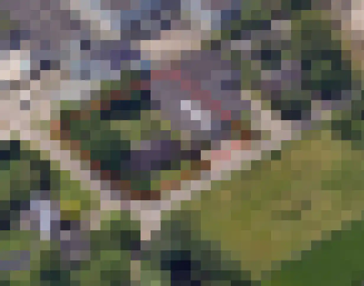 Ersweg 1 Sevenum thumbnail 6