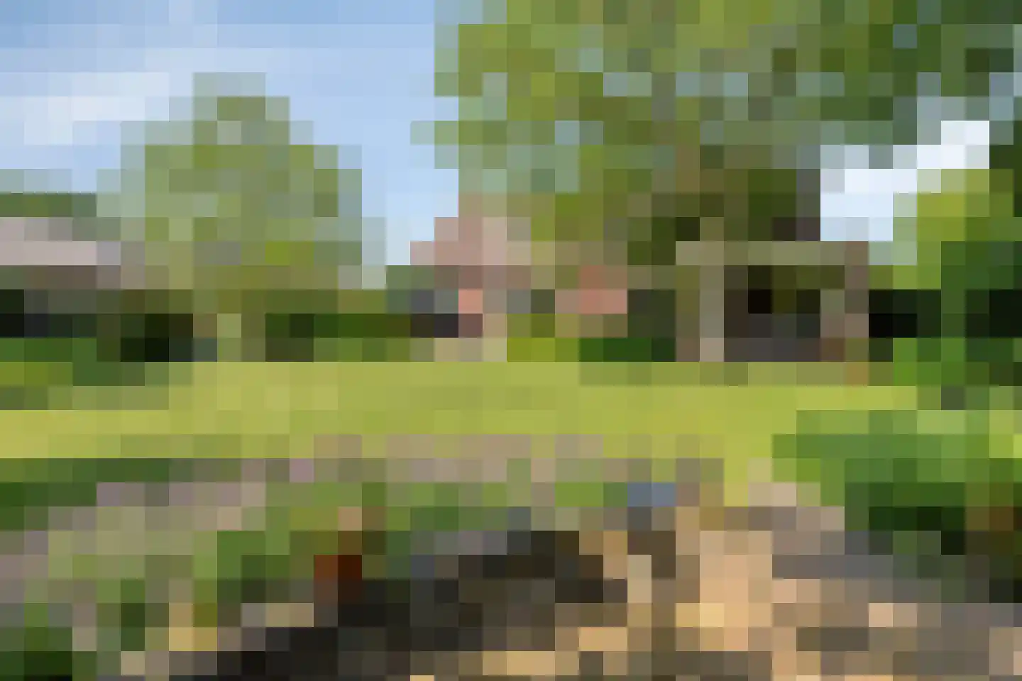 Ersweg 1 Sevenum thumbnail 60