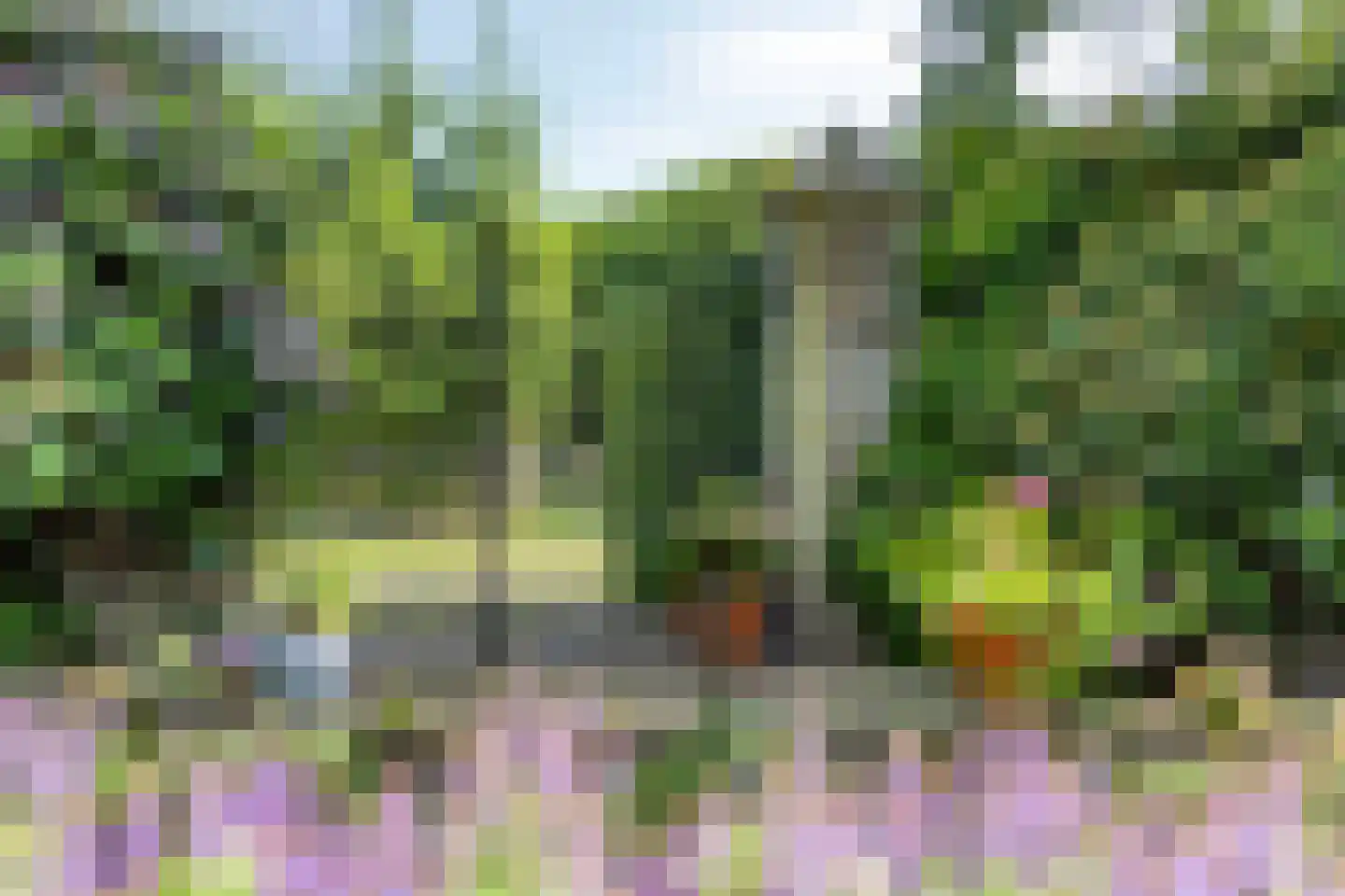 Ersweg 1 Sevenum thumbnail 61