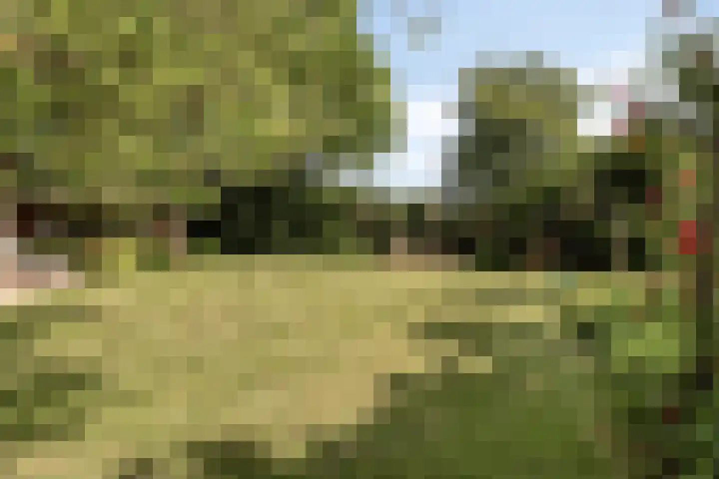 Ersweg 1 Sevenum thumbnail 62