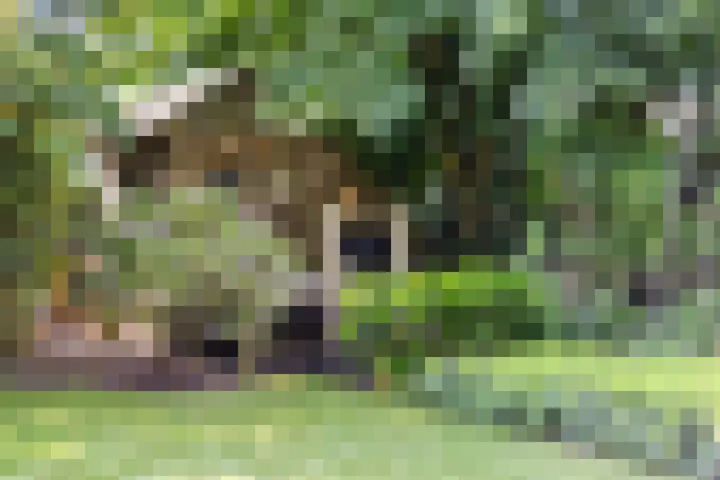Ersweg 1 Sevenum thumbnail 63