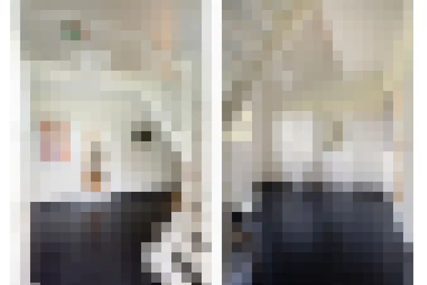 Ersweg 1 Sevenum thumbnail 9
