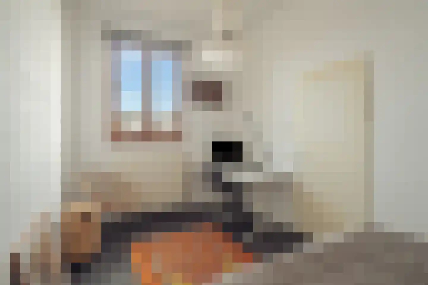 Ertskade 51 Amsterdam thumbnail 12