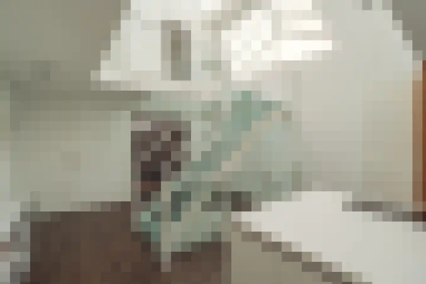 Ertskade 51 Amsterdam thumbnail 36