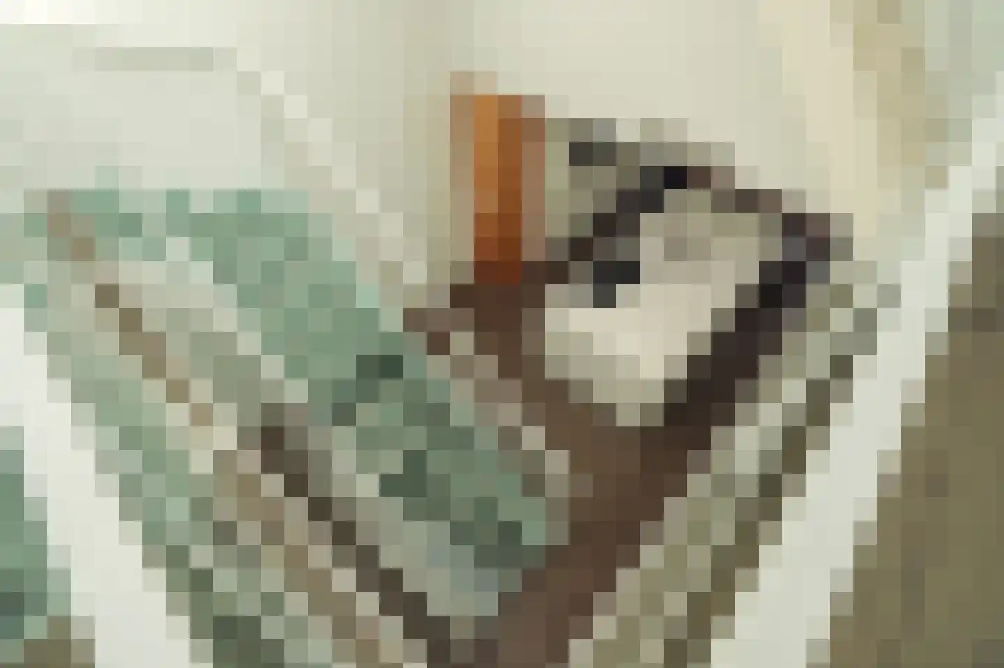 Ertskade 51 Amsterdam thumbnail 46