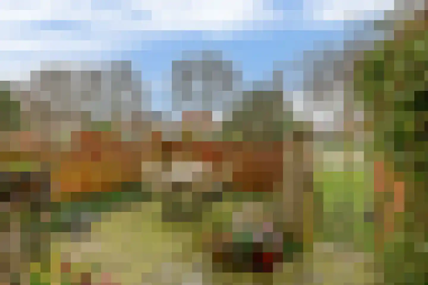Ertsstraat 24 Rotterdam thumbnail 5
