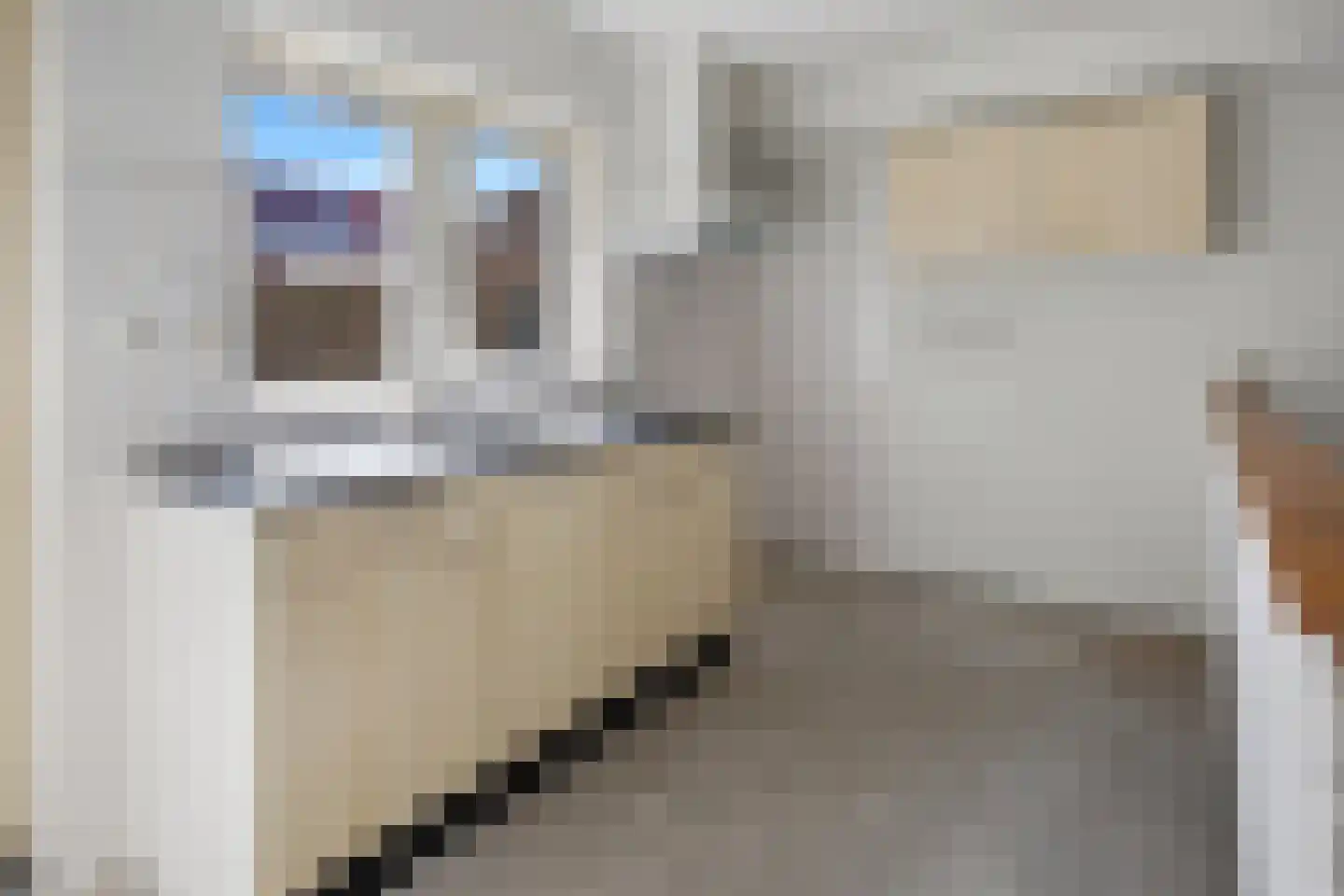 Erve 38 Waalwijk thumbnail 10