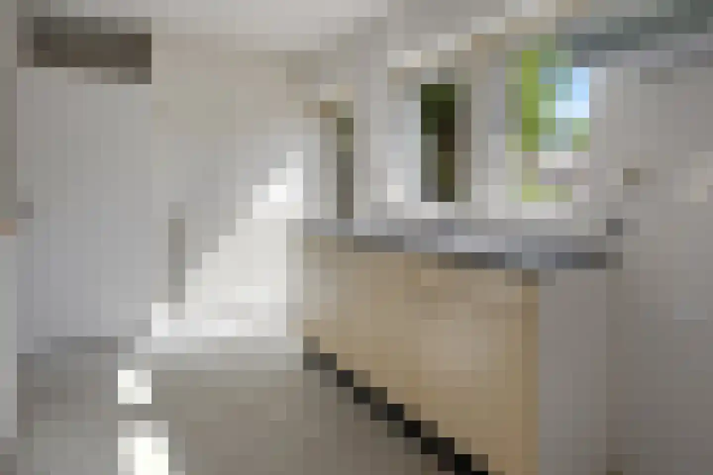Erve 38 Waalwijk thumbnail 11
