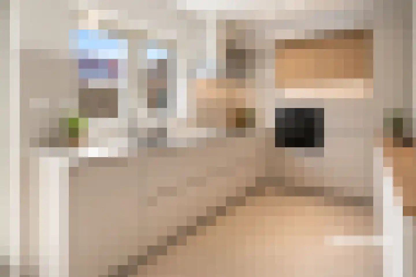 Erve 38 Waalwijk thumbnail 12