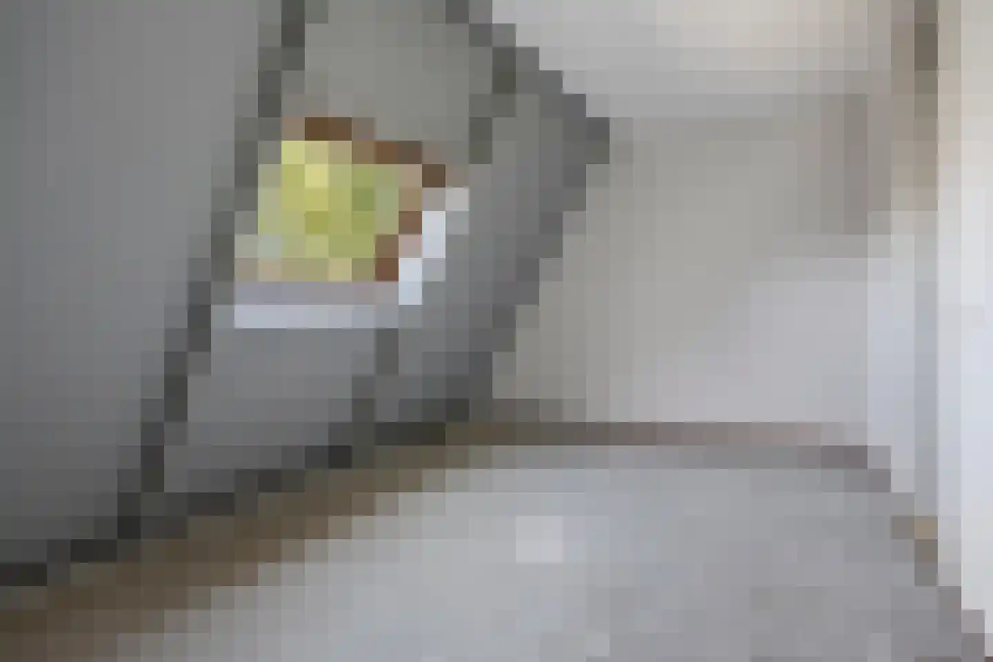 Erve 38 Waalwijk thumbnail 20