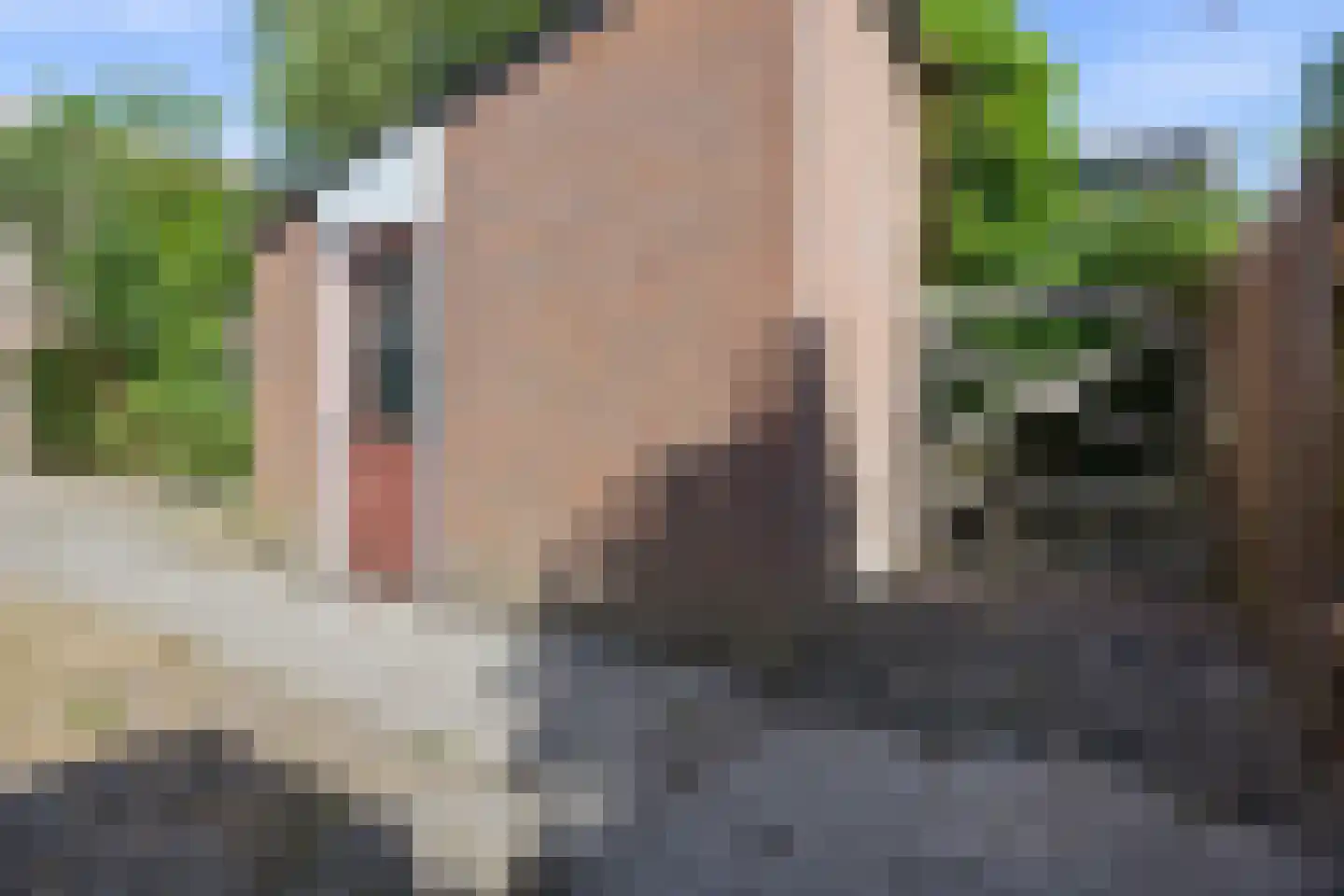 Erve 38 Waalwijk thumbnail 23