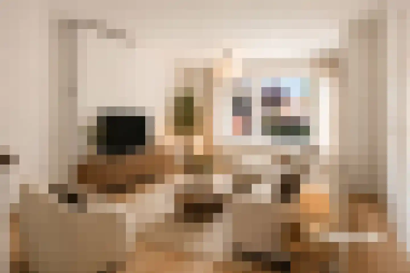 Erve 38 Waalwijk thumbnail 9