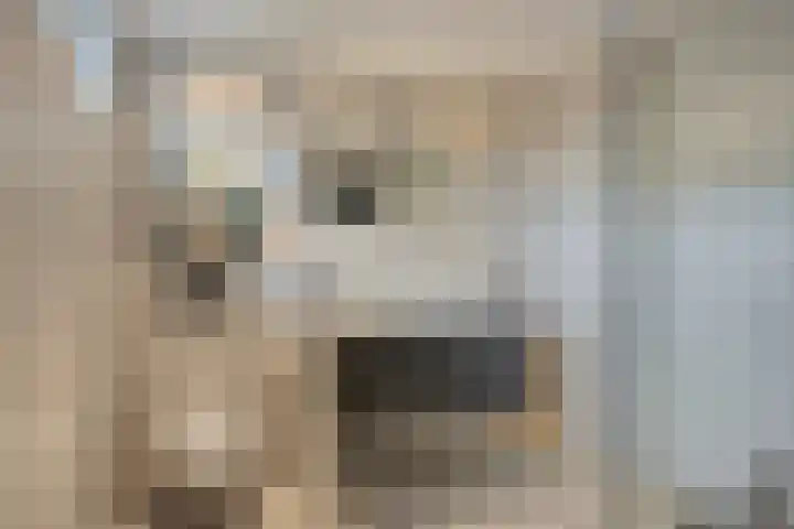 Erve Aarnink 5 Oldenzaal thumbnail 26