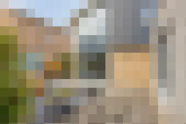 Erve Aarnink 5 Oldenzaal thumbnail 34