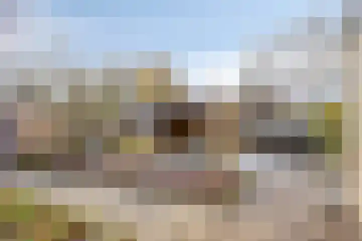Erve Aarnink 5 Oldenzaal thumbnail 36