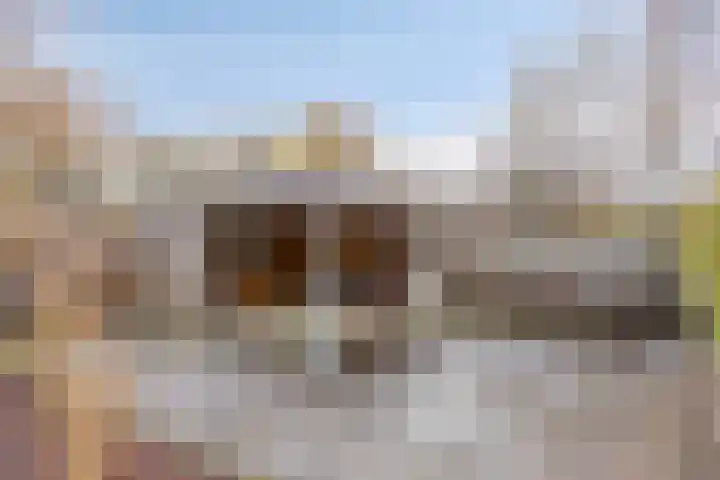 Erve Aarnink 5 Oldenzaal thumbnail 37