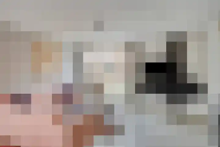 Erve Aarnink 5 Oldenzaal thumbnail 4