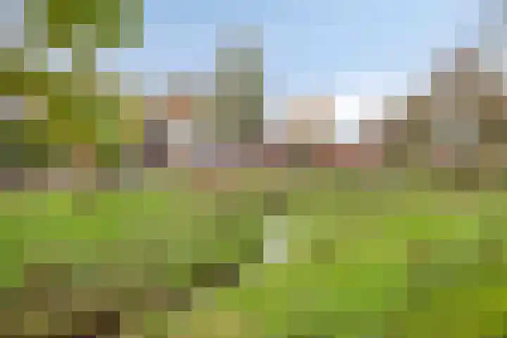 Erve Aarnink 5 Oldenzaal thumbnail 46
