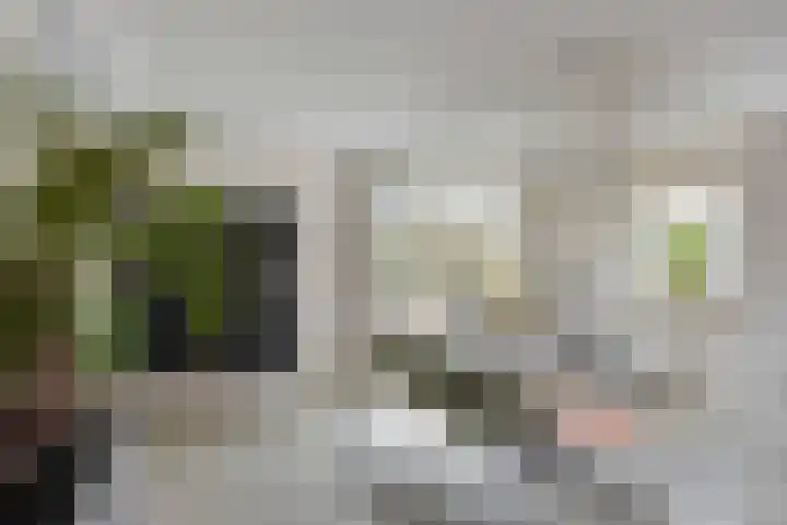 Erve Aarnink 5 Oldenzaal thumbnail 9