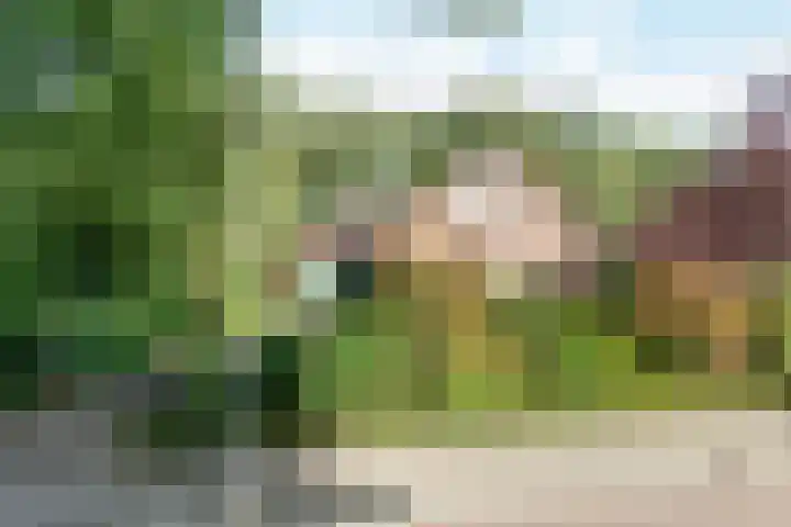 Erve Boomcate 1 Nijverdal thumbnail 16