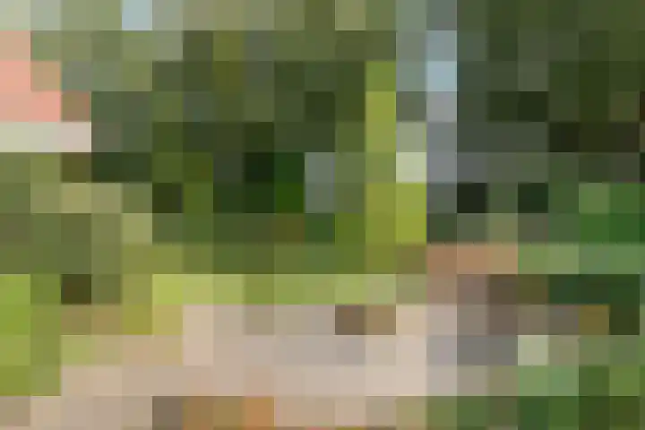 Erve Boomcate 1 Nijverdal thumbnail 17
