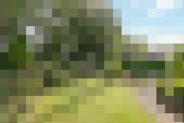 Erve Boomcate 1 Nijverdal thumbnail 18