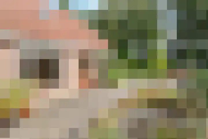 Erve Boomcate 1 Nijverdal thumbnail 19