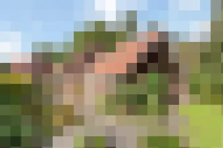 Erve Boomcate 1 Nijverdal foto 2