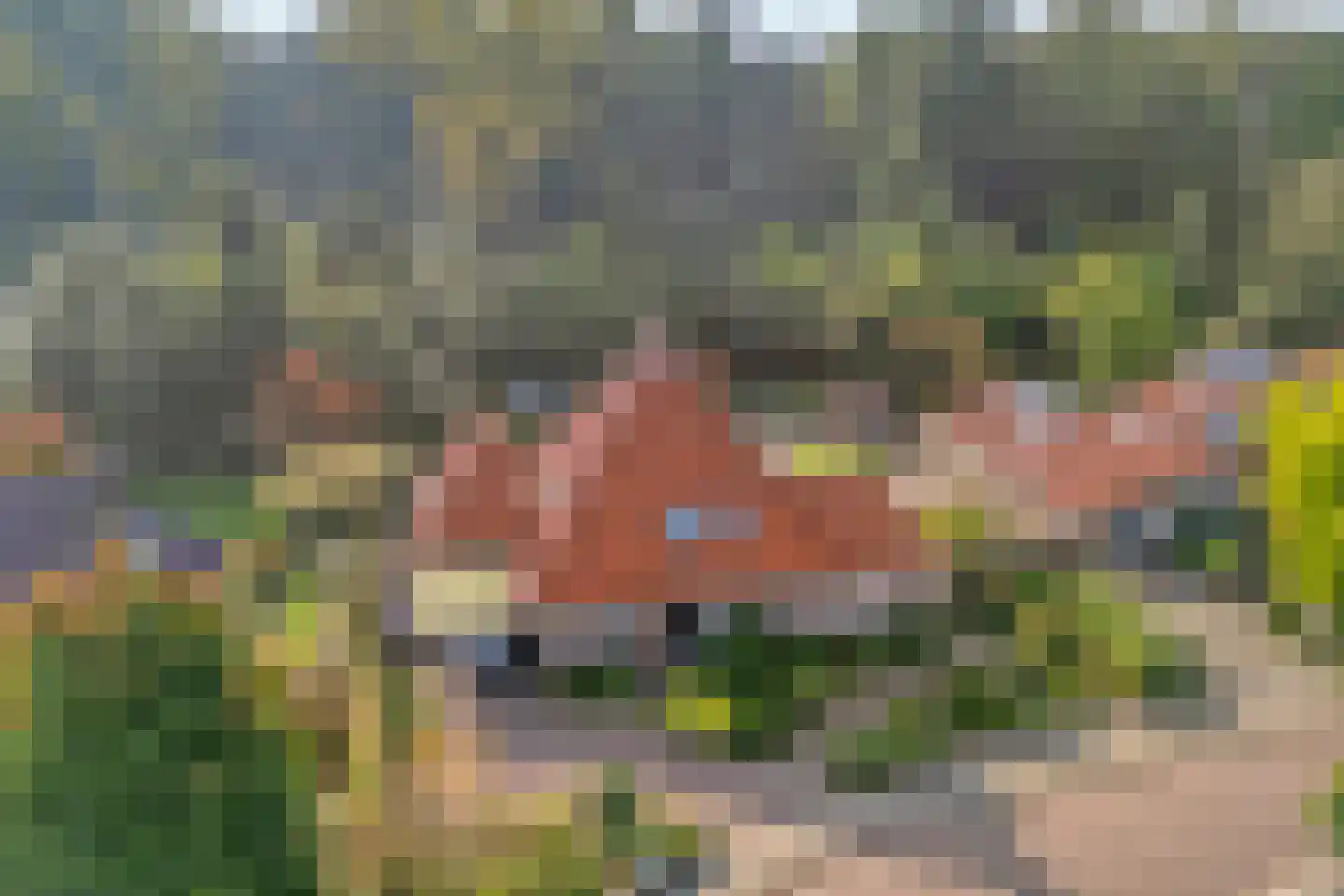 Erve Boomcate 11 Nijverdal