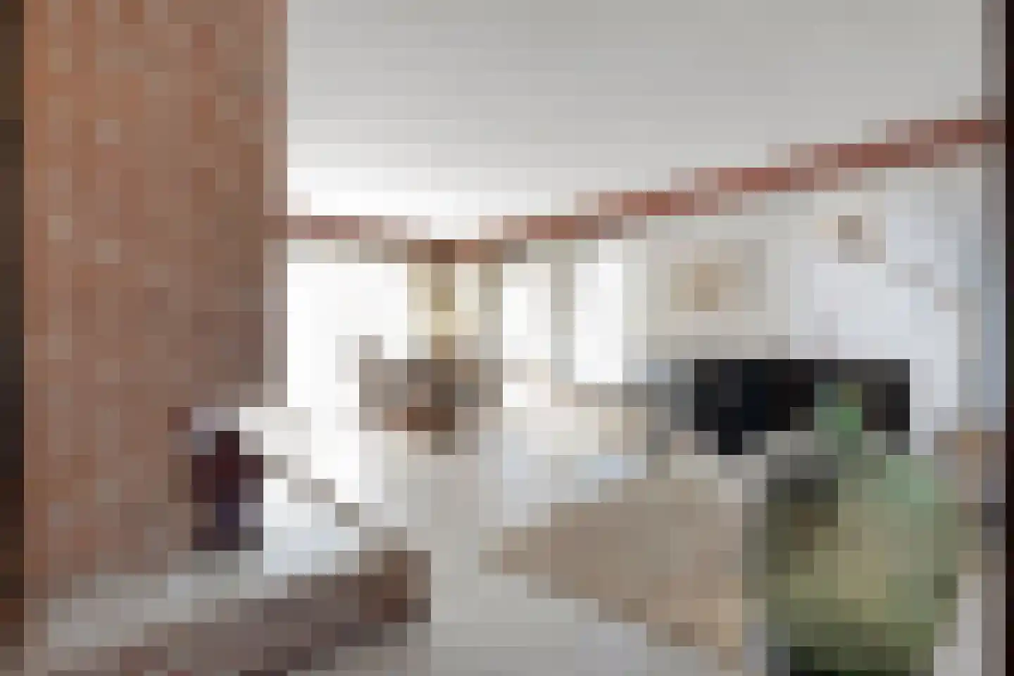 Erve Boomcate 11 Nijverdal thumbnail 15