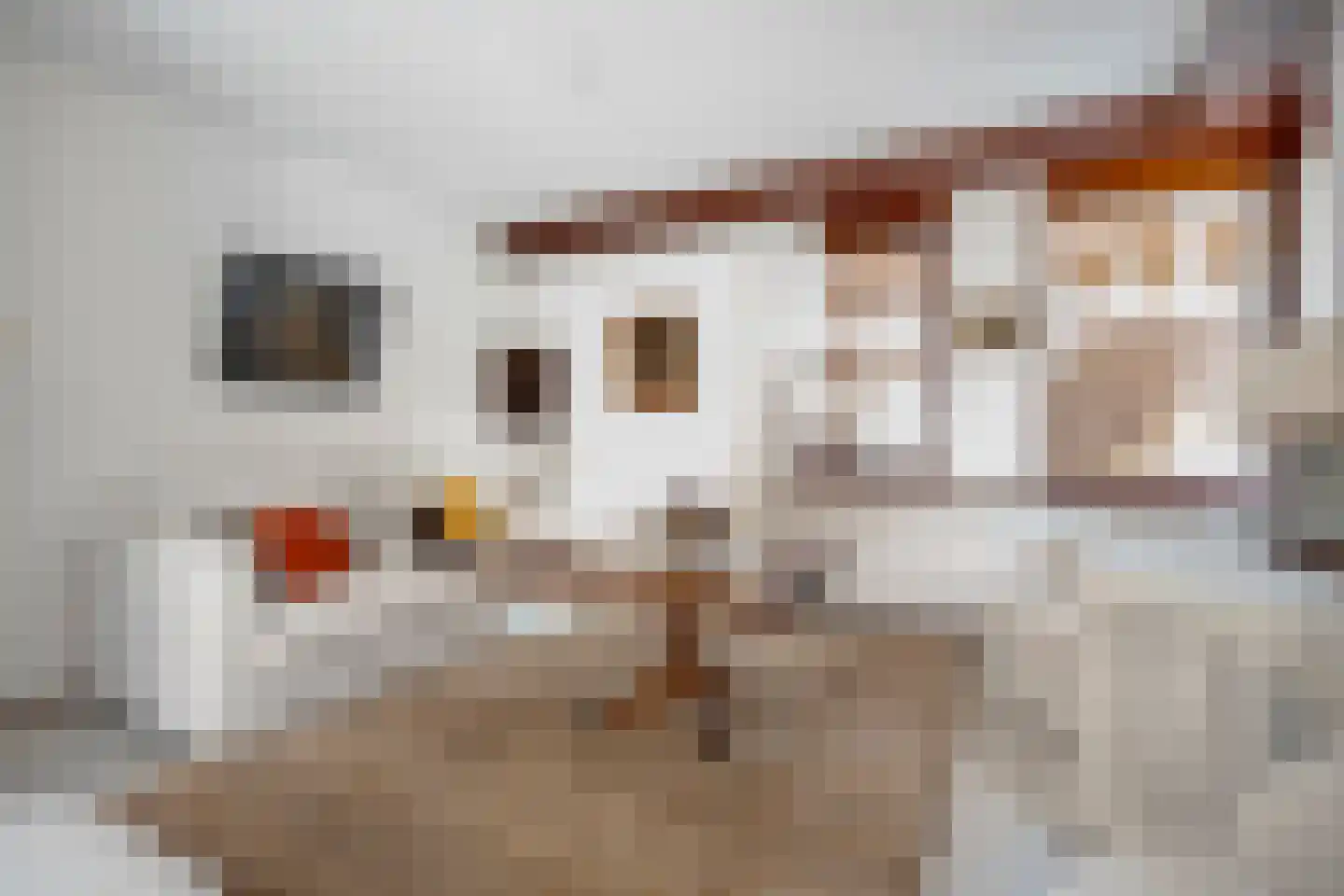 Erve Boomcate 11 Nijverdal thumbnail 19