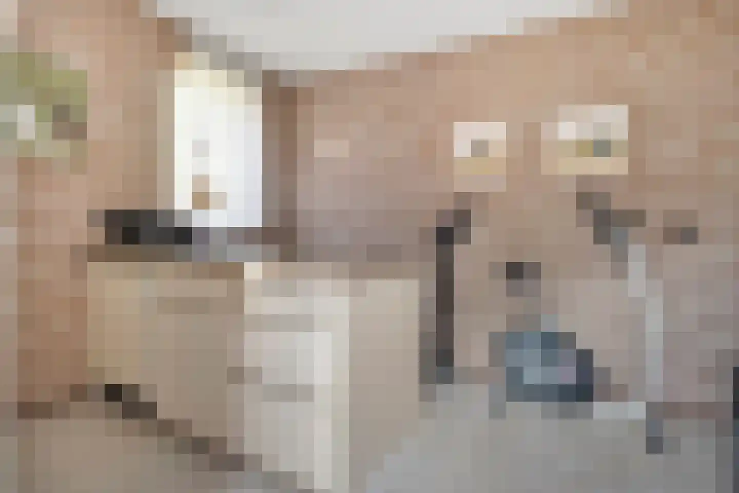 Erve Boomcate 11 Nijverdal thumbnail 29