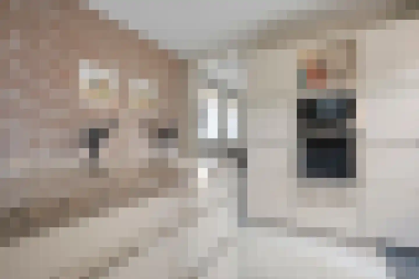 Erve Boomcate 11 Nijverdal thumbnail 30