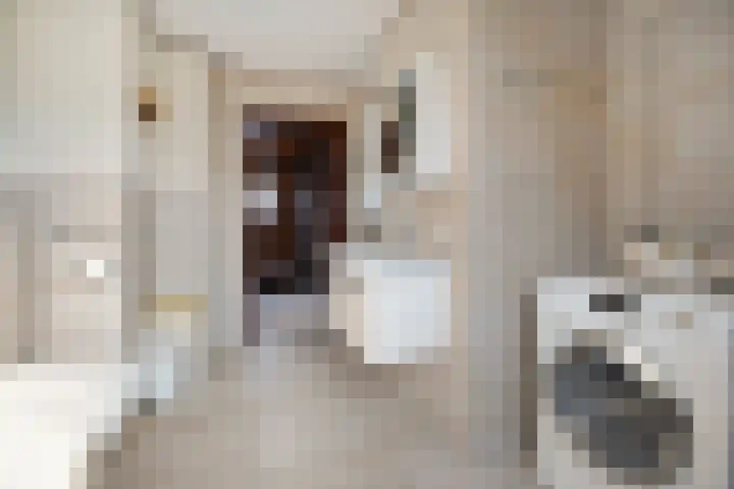 Erve Boomcate 11 Nijverdal thumbnail 39