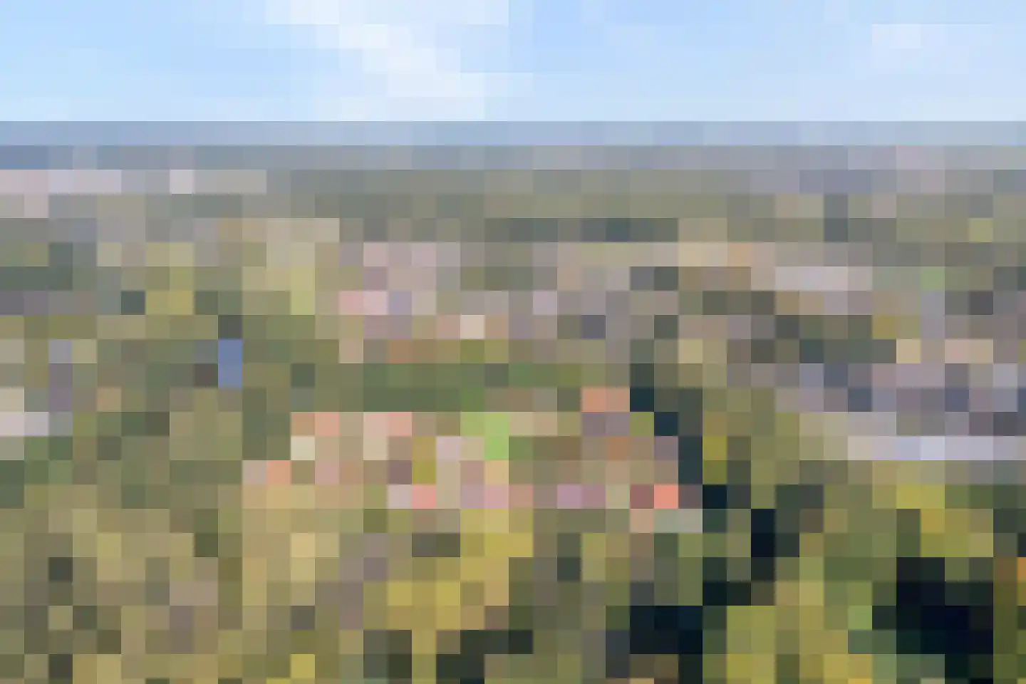Erve Boomcate 11 Nijverdal thumbnail 4