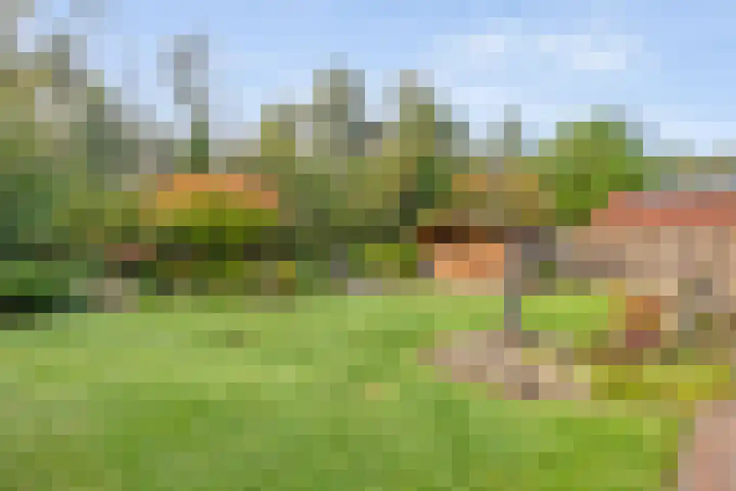 Erve Boomcate 11 Nijverdal thumbnail 53
