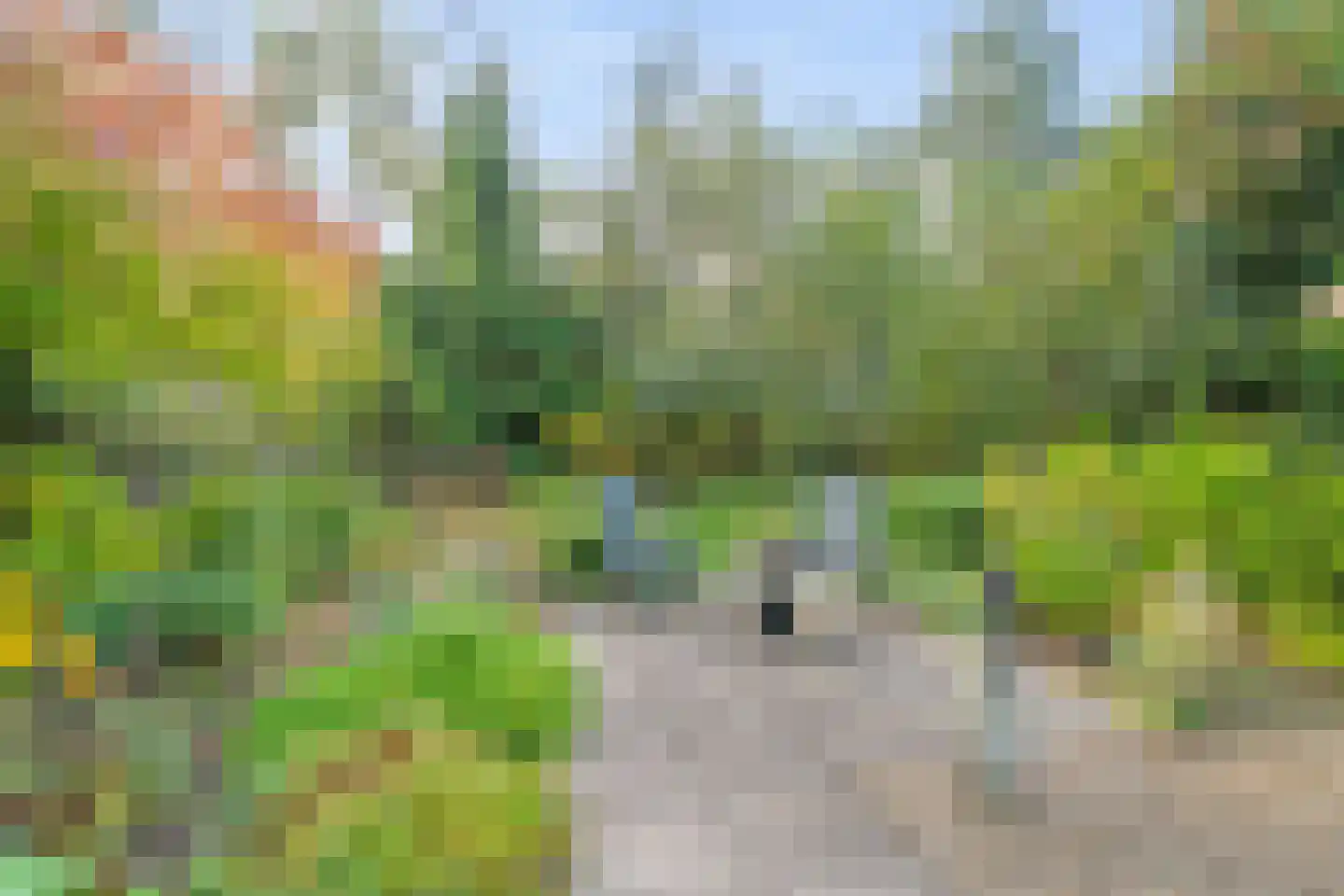 Erve Boomcate 11 Nijverdal thumbnail 54