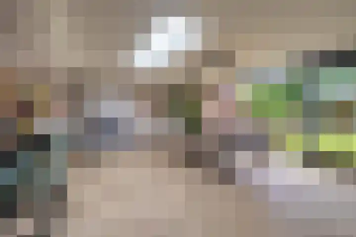 Erve Borgerinck 9 Enter thumbnail 10