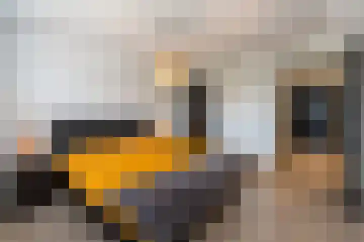 Erve Borgerinck 9 Enter thumbnail 13