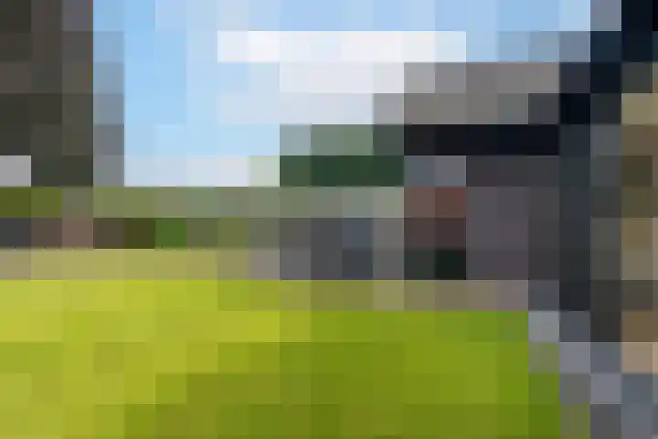 Erve Borgerinck 9 Enter thumbnail 19
